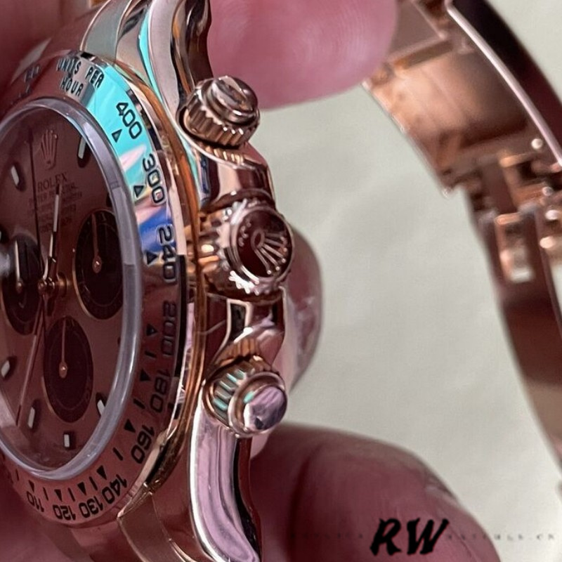 Sundust Panda Dial Everose Gold 40mm Men
