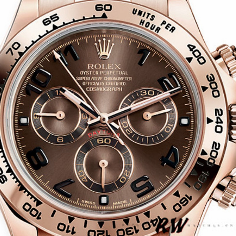 Everose Gold Brown Dial 40mm Men
