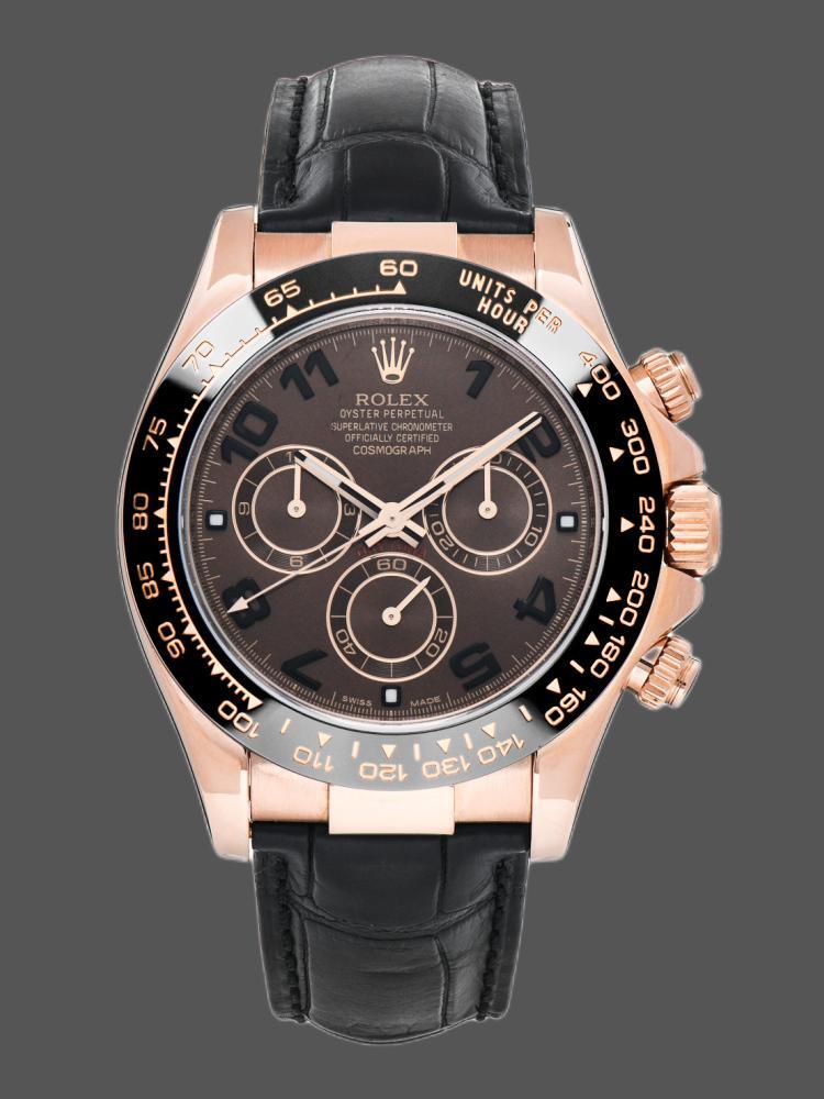 Chocolate Brown Dial Racing Chronograph 40mm Mens
